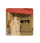 白いイエローハムスター（個別スタンプ：24）