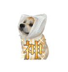 ケアリーの秋田犬ブラザーズ（個別スタンプ：29）