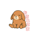 スタンプがうさぎ（個別スタンプ：1）