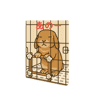 スタンプがうさぎ（個別スタンプ：3）