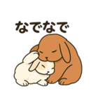 スタンプがうさぎ（個別スタンプ：5）