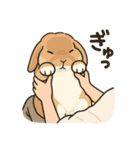 スタンプがうさぎ（個別スタンプ：6）