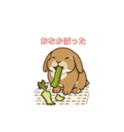 スタンプがうさぎ（個別スタンプ：7）