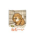 スタンプがうさぎ（個別スタンプ：10）
