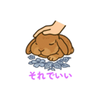 スタンプがうさぎ（個別スタンプ：11）