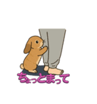 スタンプがうさぎ（個別スタンプ：12）