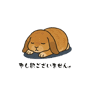 スタンプがうさぎ（個別スタンプ：13）