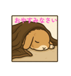 スタンプがうさぎ（個別スタンプ：15）