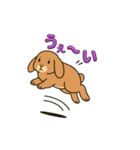 スタンプがうさぎ（個別スタンプ：17）