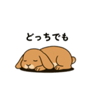 スタンプがうさぎ（個別スタンプ：20）