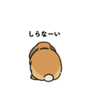 スタンプがうさぎ（個別スタンプ：21）