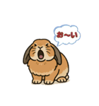 スタンプがうさぎ（個別スタンプ：22）