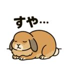 スタンプがうさぎ（個別スタンプ：24）