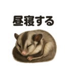 癒し系フクロモモンガの眠いラインスタンプ（個別スタンプ：10）