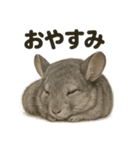 癒し系チンチラの眠いラインスタンプ（個別スタンプ：3）