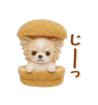毎日使えるチワワのグルメスタンプ（個別スタンプ：17）