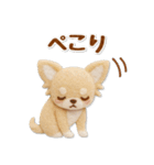 毎日使えるチワワのグルメスタンプ（個別スタンプ：19）