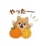 毎日使えるチワワのグルメスタンプ（個別スタンプ：24）