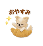 毎日使えるチワワのグルメスタンプ（個別スタンプ：30）