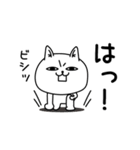 じろりねこ酒とかご飯とか（個別スタンプ：19）