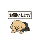 トイプードルkomugiお仕事編（個別スタンプ：5）