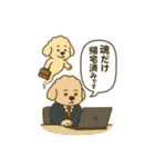 トイプードルkomugiお仕事編（個別スタンプ：13）