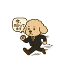 トイプードルkomugiお仕事編（個別スタンプ：37）