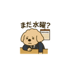 トイプードルkomugiお仕事編（個別スタンプ：39）