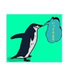 日常に使えるペンギンのスタンプ（個別スタンプ：5）