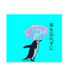 日常に使えるペンギンのスタンプ（個別スタンプ：13）