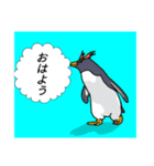 日常に使えるペンギンのスタンプ（個別スタンプ：17）