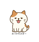 ぶちゃかわ猫スタンプ（個別スタンプ：1）