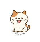 ぶちゃかわ猫スタンプ（個別スタンプ：3）