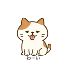 ぶちゃかわ猫スタンプ（個別スタンプ：17）
