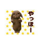 踊る！うさぎMAX/ウサギ/兎/ラビット（個別スタンプ：4）