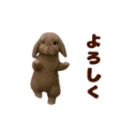 踊る！うさぎMAX/ウサギ/兎/ラビット（個別スタンプ：15）