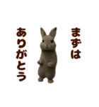踊る！うさぎMAX/ウサギ/兎/ラビット（個別スタンプ：18）