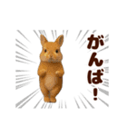 踊る！うさぎMAX/ウサギ/兎/ラビット（個別スタンプ：20）