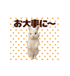 踊る！うさぎMAX/ウサギ/兎/ラビット（個別スタンプ：24）