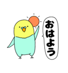 【吹き出し】インコのぴーちゃん（個別スタンプ：1）