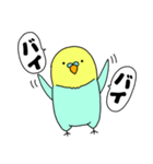 【吹き出し】インコのぴーちゃん（個別スタンプ：3）
