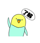 【吹き出し】インコのぴーちゃん（個別スタンプ：4）