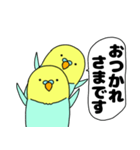 【吹き出し】インコのぴーちゃん（個別スタンプ：10）