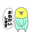 【吹き出し】インコのぴーちゃん（個別スタンプ：12）