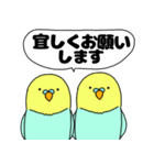 【吹き出し】インコのぴーちゃん（個別スタンプ：13）
