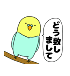 【吹き出し】インコのぴーちゃん（個別スタンプ：14）