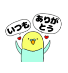 【吹き出し】インコのぴーちゃん（個別スタンプ：18）