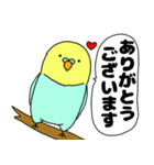 【吹き出し】インコのぴーちゃん（個別スタンプ：19）