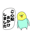 【吹き出し】インコのぴーちゃん（個別スタンプ：23）