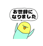 【吹き出し】インコのぴーちゃん（個別スタンプ：25）